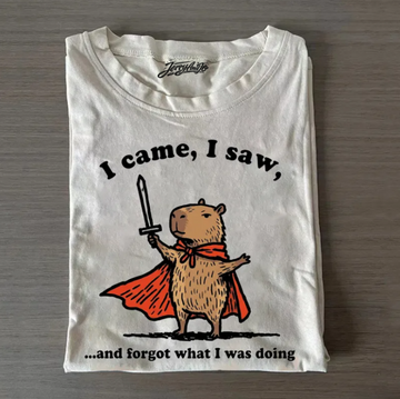 I CAME, I SAW, AND FORGOT WHAT I WAS DOING T-SHIRT TR-00231