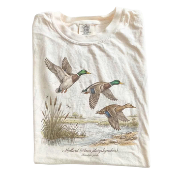 RETRO SCIENTIFIC BIRD ILLUSTRATION GRAPHIC TEE LL - 0199